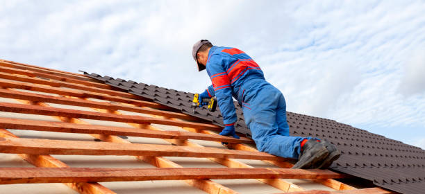 Best Roof Maintenance  in Despard, WV