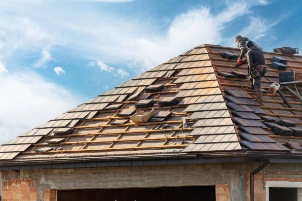 Best Rubber Roofing (EPDM, TPO)  in Despard, WV