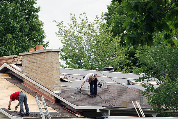 Best Cold Roofs  in Despard, WV