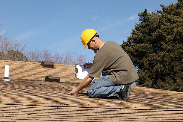 Best Storm Damage Roof Repair  in Despard, WV