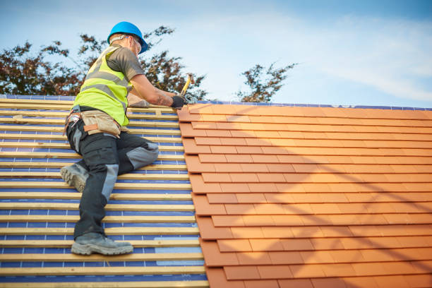 Best Roof Insulation Installation  in Despard, WV